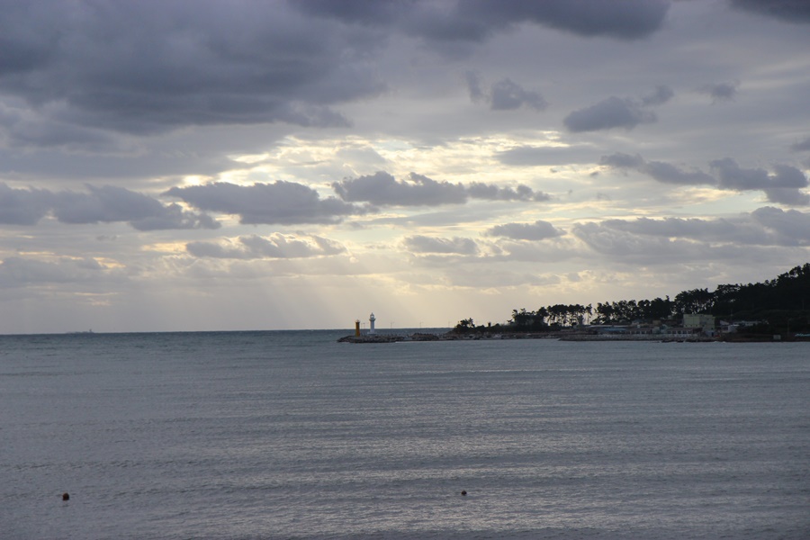 IMG_9515.JPG