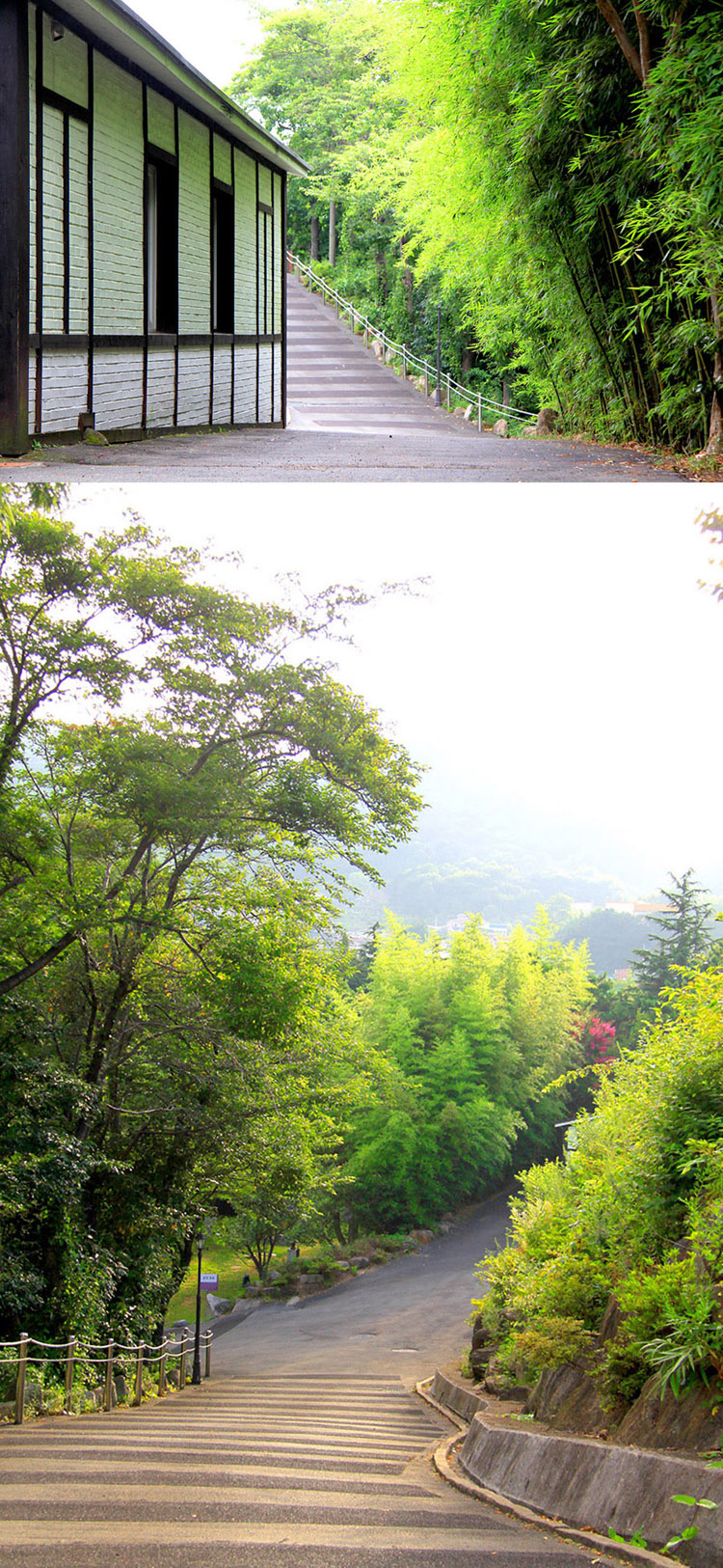 green.jpg